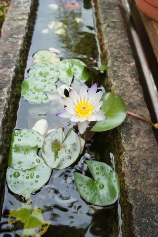 Cheng-Ping Hot Spring Inn Wenquan Kültér fotó